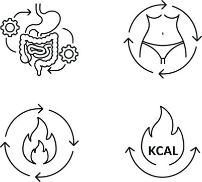 Metabolism and digestive health icon set featuring calorie burning symbols and human digestive system for fitness and wellness concepts.