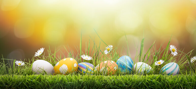 Seven painted easter eggs celebrating a Happy Easter on a spring day with a green grass meadow, bright sunlight and a warm oranged coloured background with copy space.