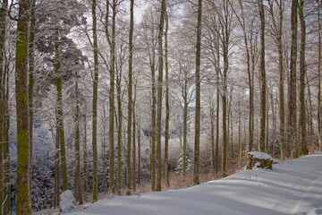 H&ecirc;traie d'altitude