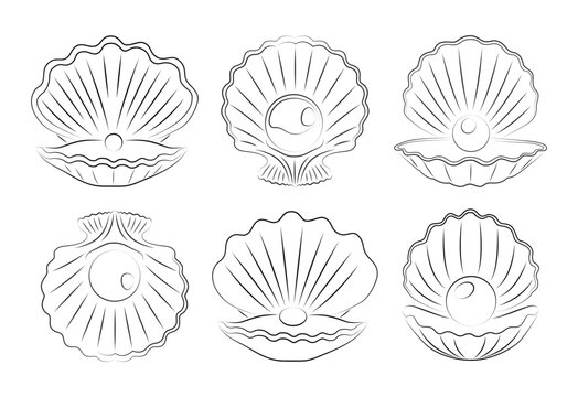 Sea Shell with pearl set. Vector illustration. Icons for design. Love, romance beautiful symbol. Elegant vector icons. For gifts, Valentine's Day, birthday, cards, decoration.