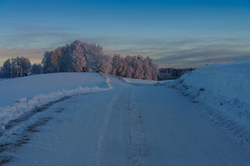 winter landscape with snow © talavietis