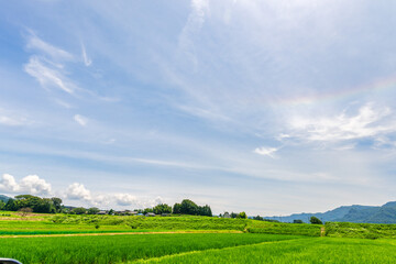 春空と田園に映える 「水の生まれる郷」 で出会う、一期一会の列車旅。 南阿蘇村(白川水源駅) A once-in-a-lifetime train journey to the "home of water" illuminated by the spring sky and countryside. Minamiaso Village (Shirakawa Suigen Station)