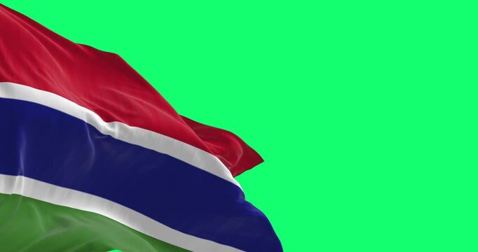 National flag of the Gambia waving in the wind isolated on green background