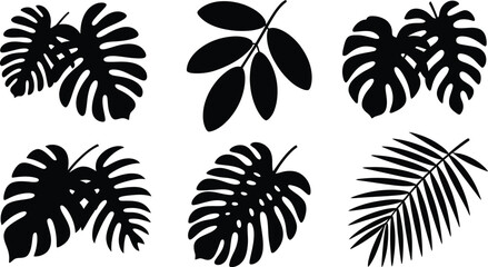 Fototapeta premium Diverse Botanical and Ornamental Design Collection