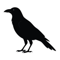 Fototapeta premium Black bird on a white background with a blue circle