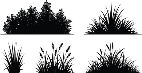 Wild Grass Landscaping Silhouettes