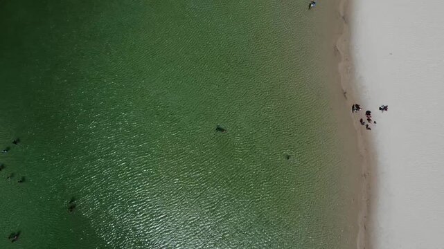 Top turquoise lagoons, Len&ccedil;&oacute;is Maranhenses, northeastern Brazil with swimmers enjoying the water