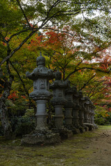 Fototapeta premium 日本 広島県三原市高坂町にある佛通寺の紅葉した木々と灯籠