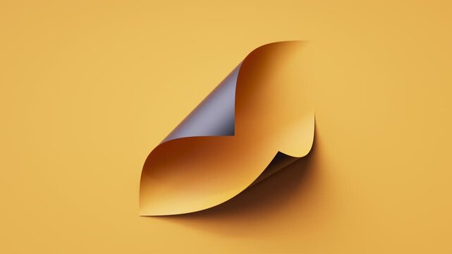 Single yellow sheet peels up with a curled corner, revealing a black underside and soft shadow. Subtle loop ready for logos and titles. 3d render motion.