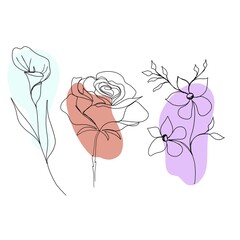 colored feces, rose, wild flower. set line art set of flowers . minimalism sketch, idea for invitation, design of instagram stories and highlights icons