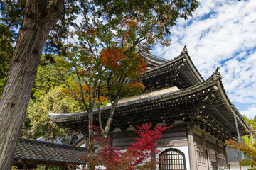 Fototapeta premium 日本 広島県三原市高坂町にある佛通寺の観音堂と紅葉した木々