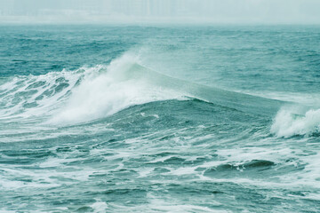 Naklejka premium a single turquoise ocean wave rolling and breaking with white foam against a misty background.