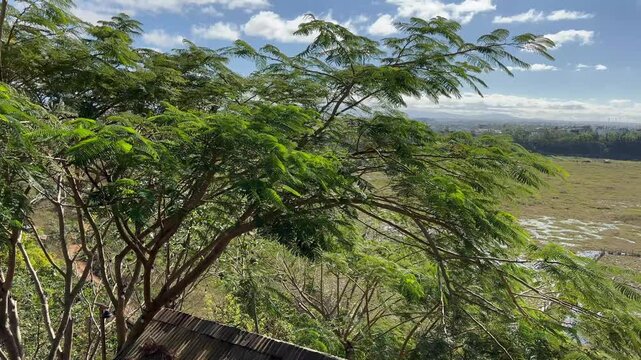 Landscape in Pleiku, Vietnam Highlands Natural