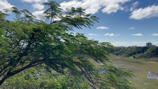 Landscape in Pleiku, Vietnam Highlands Natural