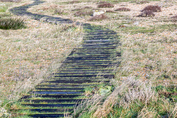 A winding wooden pathway on a shingle beach