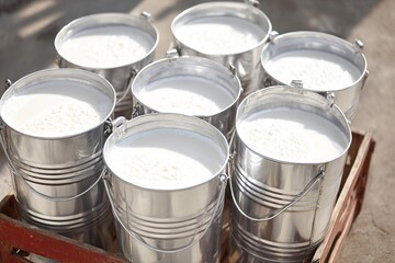 Fresh milk in steel buckets ready for delivery at a local farm Generative AI