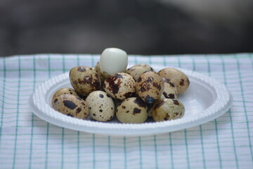 Quail eggs pile on white plate outdoor food background