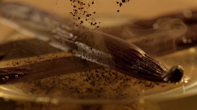 Vanilla Bean Infusion in Golden Liquid with Tiny Bubbles Rising Close-Up Shot for Culinary Arts and Gourmet Ingredient