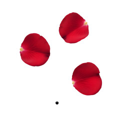 Three Red Rose Petals Floating on Background (115 isolated on a transparent background