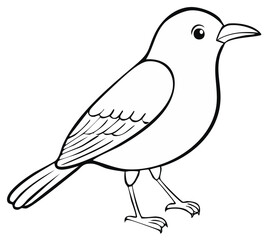 Obraz premium Simple bird line art drawing for kids coloring book page. Black and white outline cartoon animal illustration.