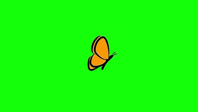 Orange butterfly flying animation on green screen background