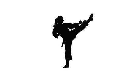 Obraz premium A martial artist performing a kick in a dynamic pose silhouette