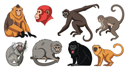 Collection of diverse monkey illustrations with varied poses and colors. © A B I G A I L