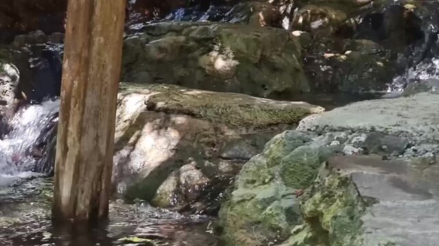Stone trail beside flowing rocky stream in Cyprus gorge