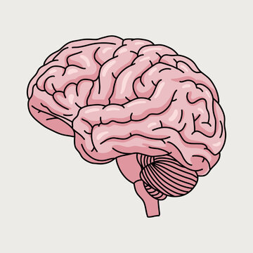 Isolated Shiny Human Brain Vector Illustration with 3D Effect Icon in Pastel Pink. Isolated on Light Background. Neural Mental Health Creativity Concept Idea