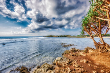 Morning vibe from Bali