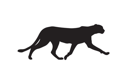Black silhouette of a cheetah running at full speed on white background, sleek athletic animal representing agility and swiftness, dynamic motion