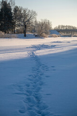 snow covered river, frozen water surface covered with snow, bright winter morning, tree shadows on snow, transport bridge ahead, footprints in snow