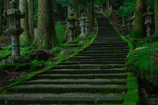 高住神社の参道