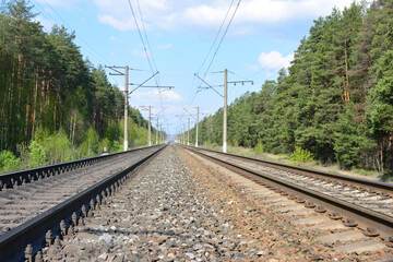 Parallel Railway Tracks Through a Green Forest on a Sunny Day low angle