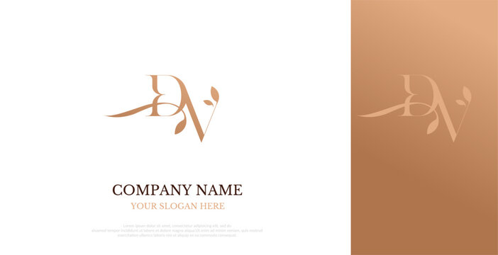 Initial DV Logo Design Elegant