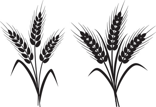 Black silhouette illustration of two stalks of wheat, symbolizing grain, harvest, and organic food, on white background.