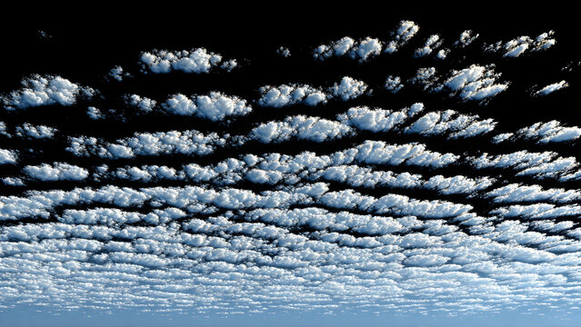 Fragmented cirrocumulus cloudlets arranged in natural ripple pattern, each individual element visible with crystalline clarity and precise edges isolated on absolute black background