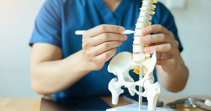 close up specialist chiropractor man touch on back on spine anatomy and diagnose about symptom and treatment step by hospital program for health care lifestyle people concept