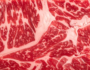 A macro shot of raw, marbled beef showcasing intricate patterns of fat and muscle fibers. The textures create a visual feast