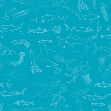 Vector Pattern of Sketch Sea Animals and Fishes