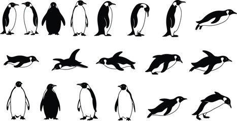 penguin penguins bird birds animal animals wildlife antarctic arctic nature ocean sea silhouette illustration collection set © Itz Raju