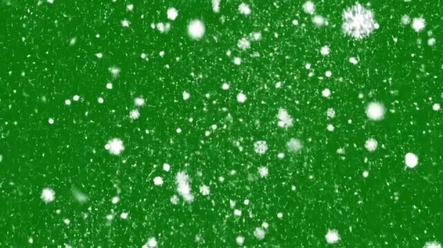 Snow falls gently on a green background during a winter day