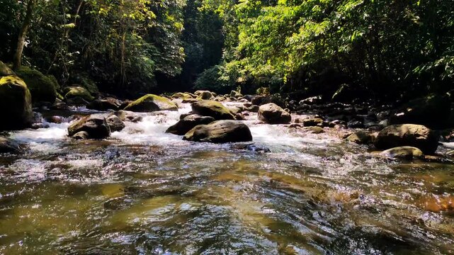Clear mountain river flowing gently over smooth stones in the lush Sumatra highlands, surrounded by dense tropical forest and natural sunlight creating a peaceful wilderness atmosphere.