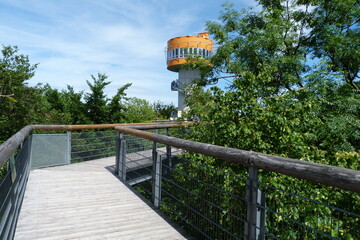 Aussichtsturm Baumkronenpfad Hainich © Falko Göthel