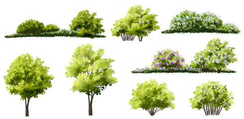 Fototapeta premium Vertor set of green tree,plants side view for landscape elevations,element for backdrop,eco environment concept design,watercolor greenery scene