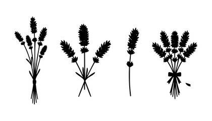 Lavender Silhouette at Sunset