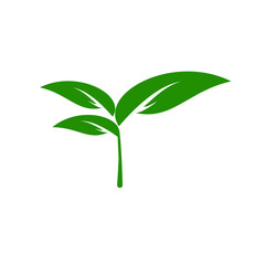 Fototapeta premium Green Leaf Organic Logo Design Vector Template Green Leaf icon set design elements.