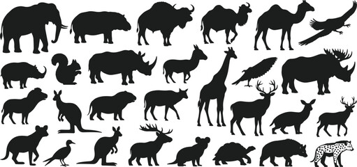 Wildlife animal silhouette collection featuring elephant giraffe camel deer buffalo rhino kangaroo bird and mammal black vector set isolated background © Ideasy Mind