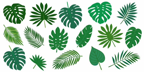 A collection of various vibrant green monstera and palm leaves © Provhash