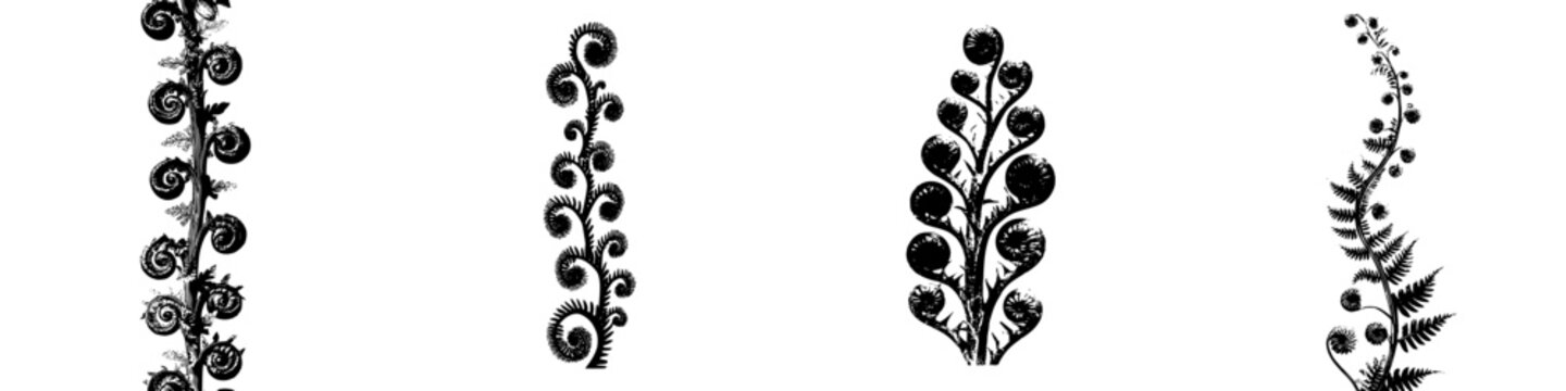 Vintage Art Nouveau Spiral Plant Design